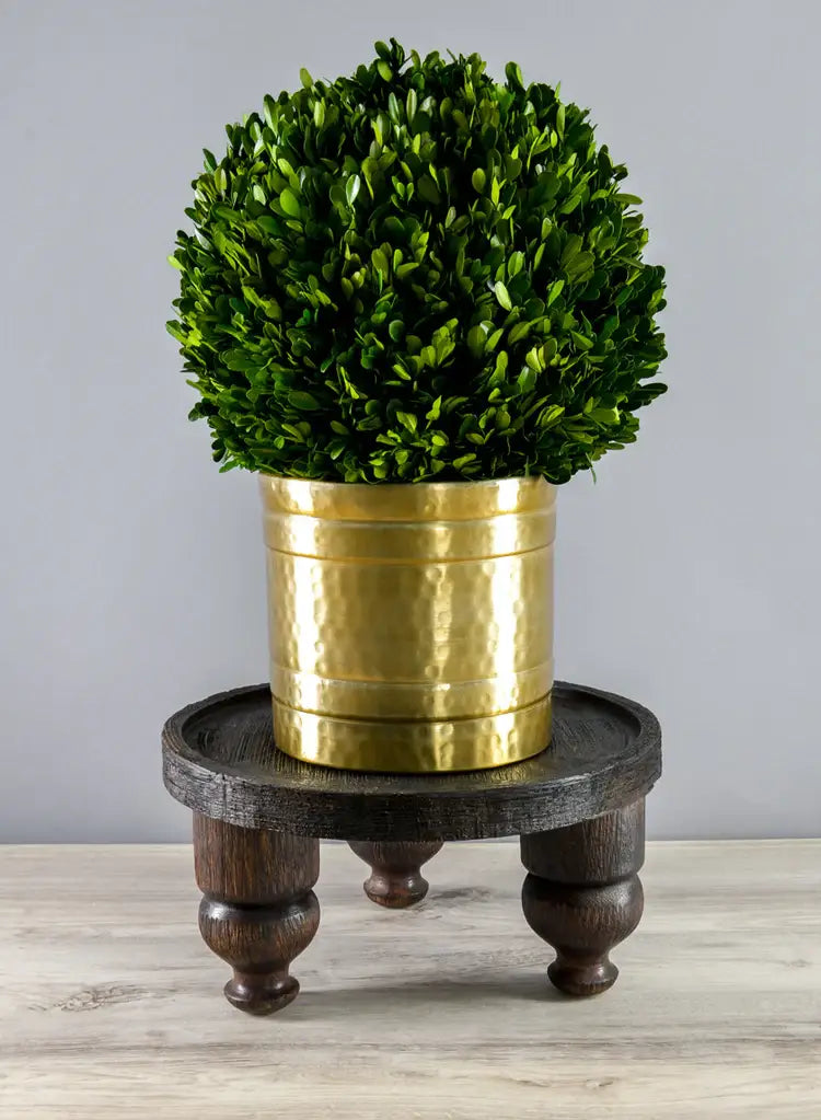 A round, lush green plant in a gold metal pot rests on a small mango wood tray atop the Jamali Garden 14in Wide Banjara Reclaimed Look Deep Brown/Black Rugged Wood Stand, set on a light surface with a gray background.