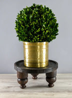 A round, lush green plant in a gold metal pot rests on a small mango wood tray atop the Jamali Garden 14in Wide Banjara Reclaimed Look Deep Brown/Black Rugged Wood Stand, set on a light surface with a gray background.