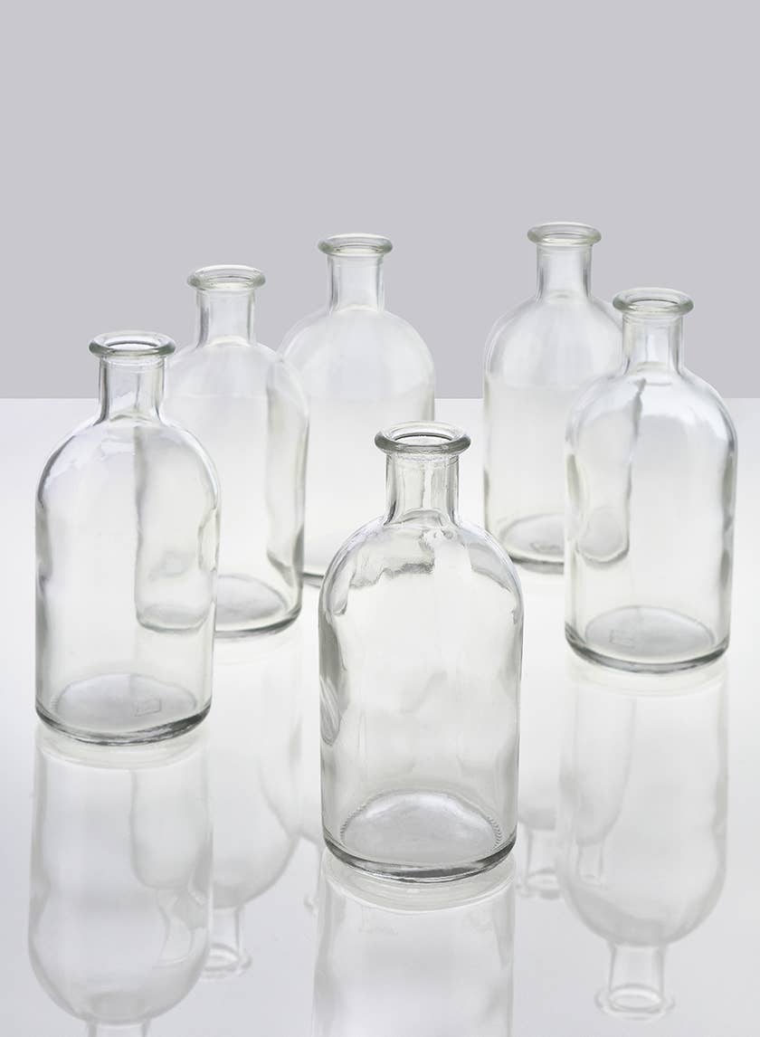 Six empty Jamali Garden Clear Medicine Bottle Bud Vases are arranged on a reflective white surface with a plain light gray background. Similar in size and shape, each vase casts a faint reflection—ideal for minimalist home decor.