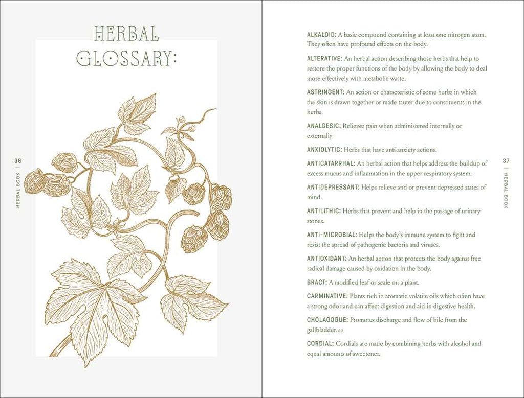 A two-page spread from Complete Folk Herbal by Rebecca Beyer (Simon & Schuster, hardcover, 384 pages) features a botanical illustration and definitions of terms like Alkaloid and Alternative in an elegant English layout.