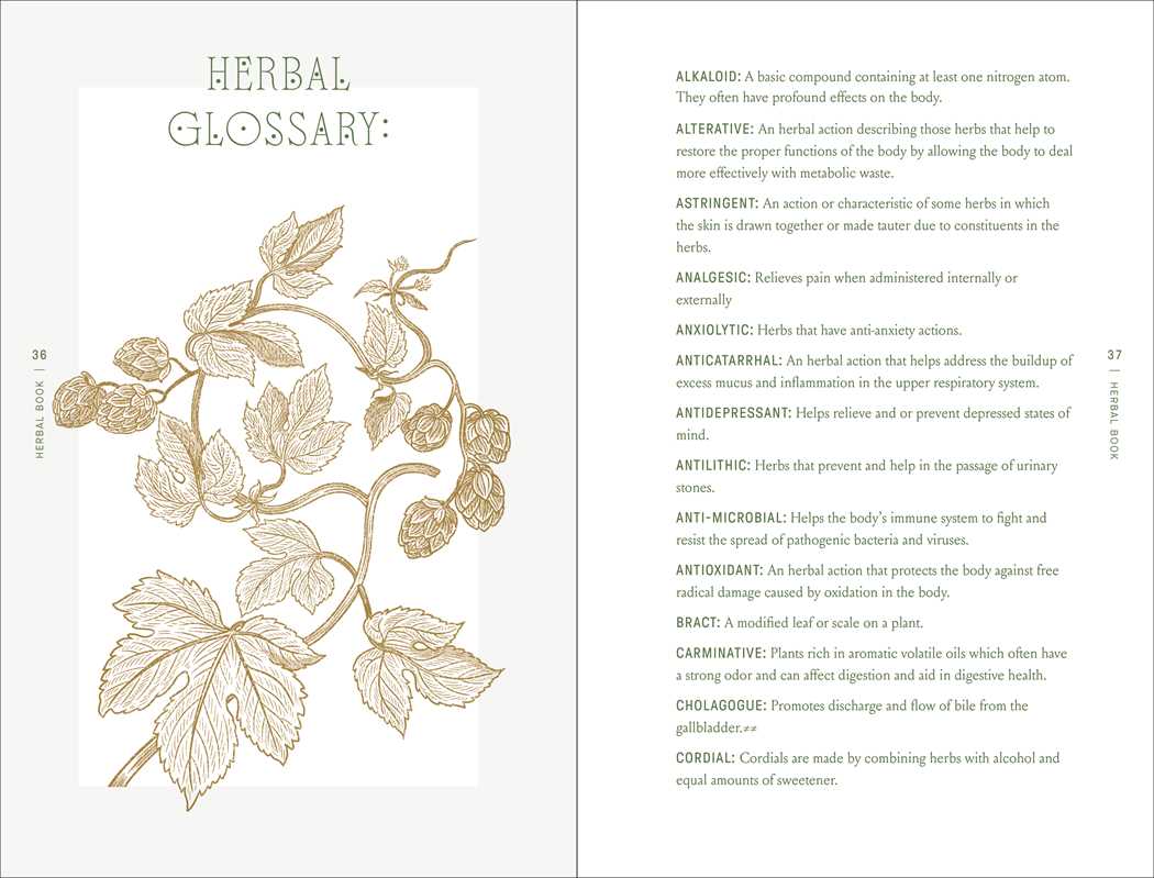 A two-page spread from Complete Folk Herbal by Rebecca Beyer (Simon & Schuster, hardcover, 384 pages) features a botanical illustration and definitions of terms like Alkaloid and Alternative in an elegant English layout.